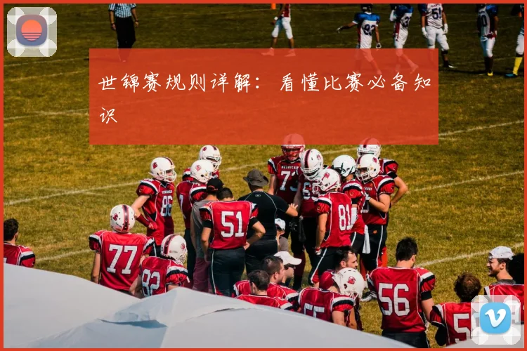 世锦赛规则详解：看懂比赛必备知识
